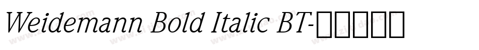 Weidemann Bold Italic BT字体转换